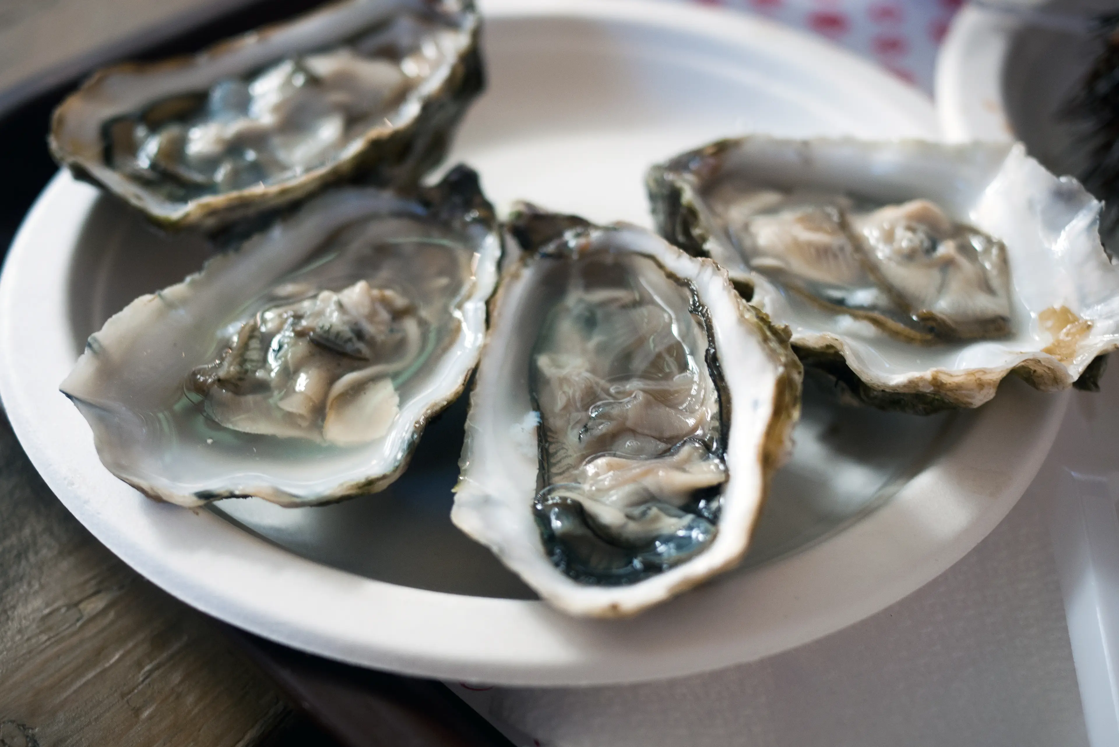 Dr Merrifield has issued a warning about the risks of consuming oysters. (Carlo A/Getty)