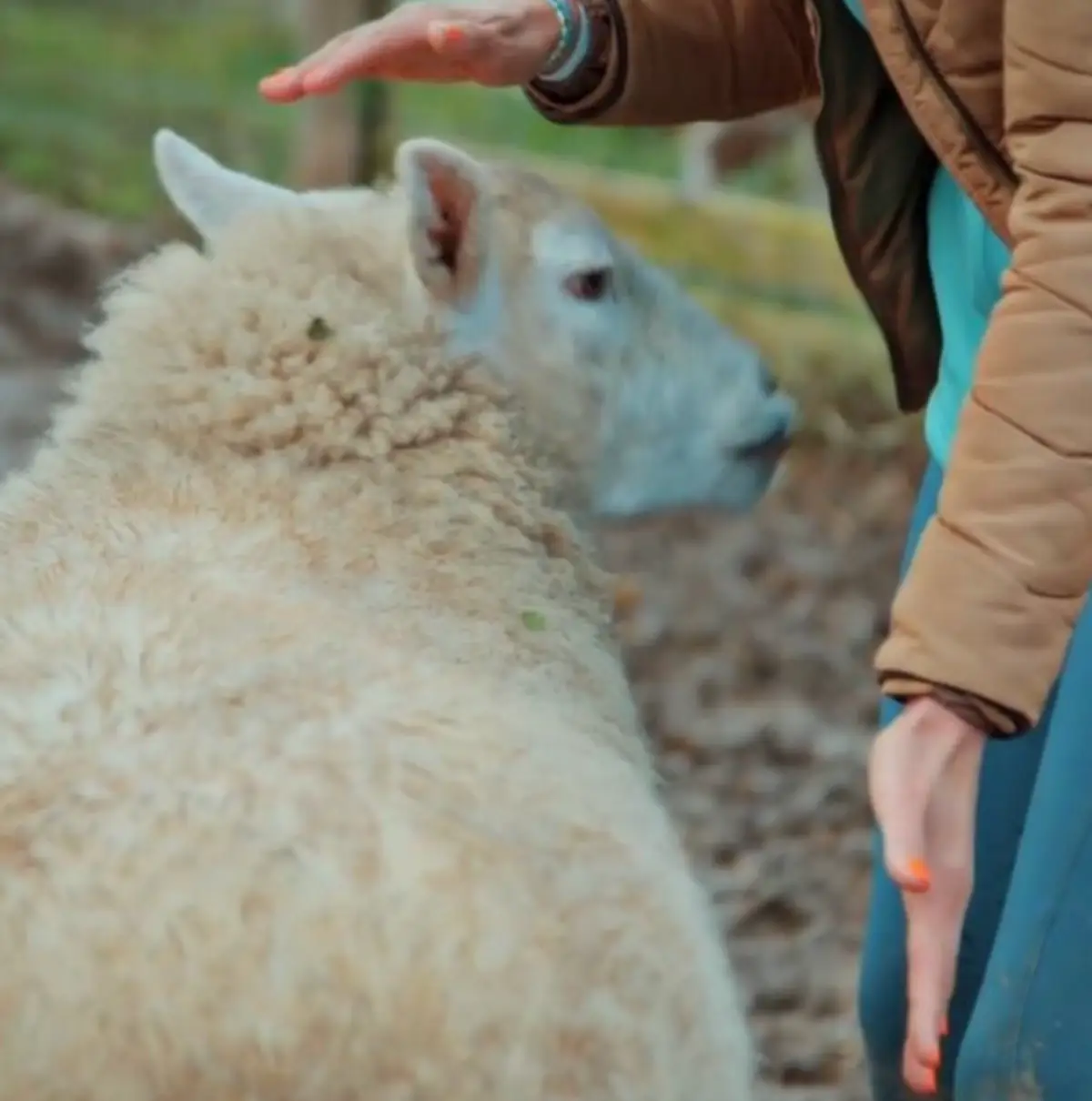 Kristina is an animal reiki practitioner (Channel 4)