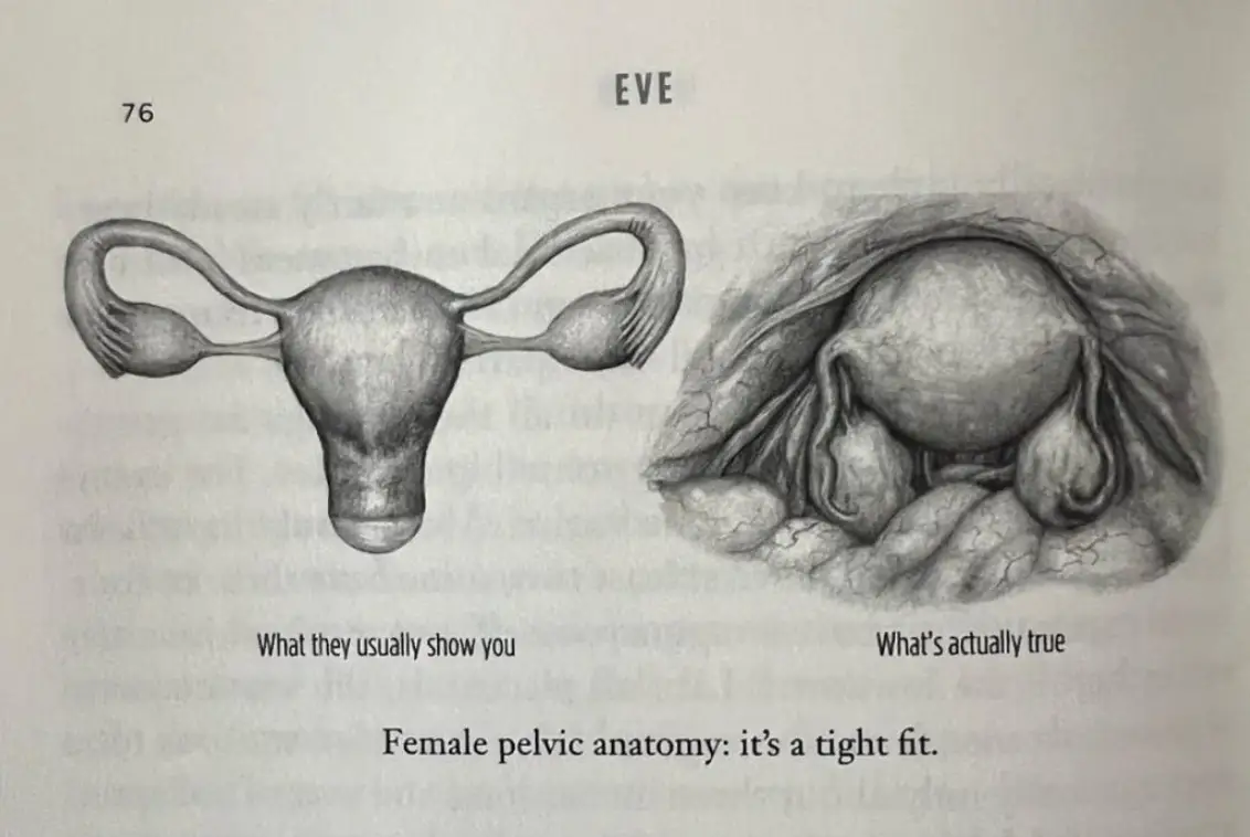 Um, what? (Cat Bohannon)