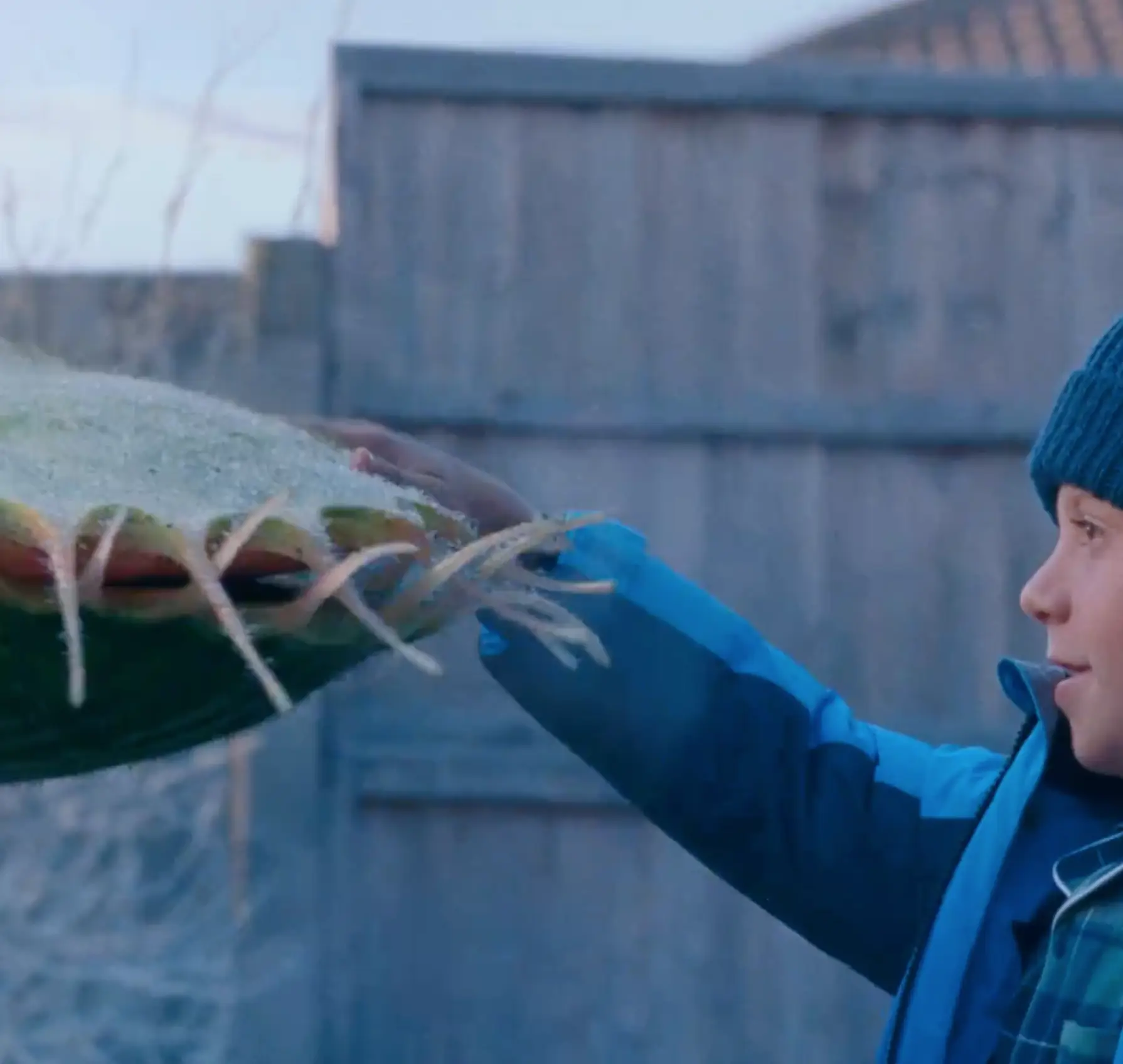 Snapper and Alfie are the stars of the new John Lewis Christmas advert.