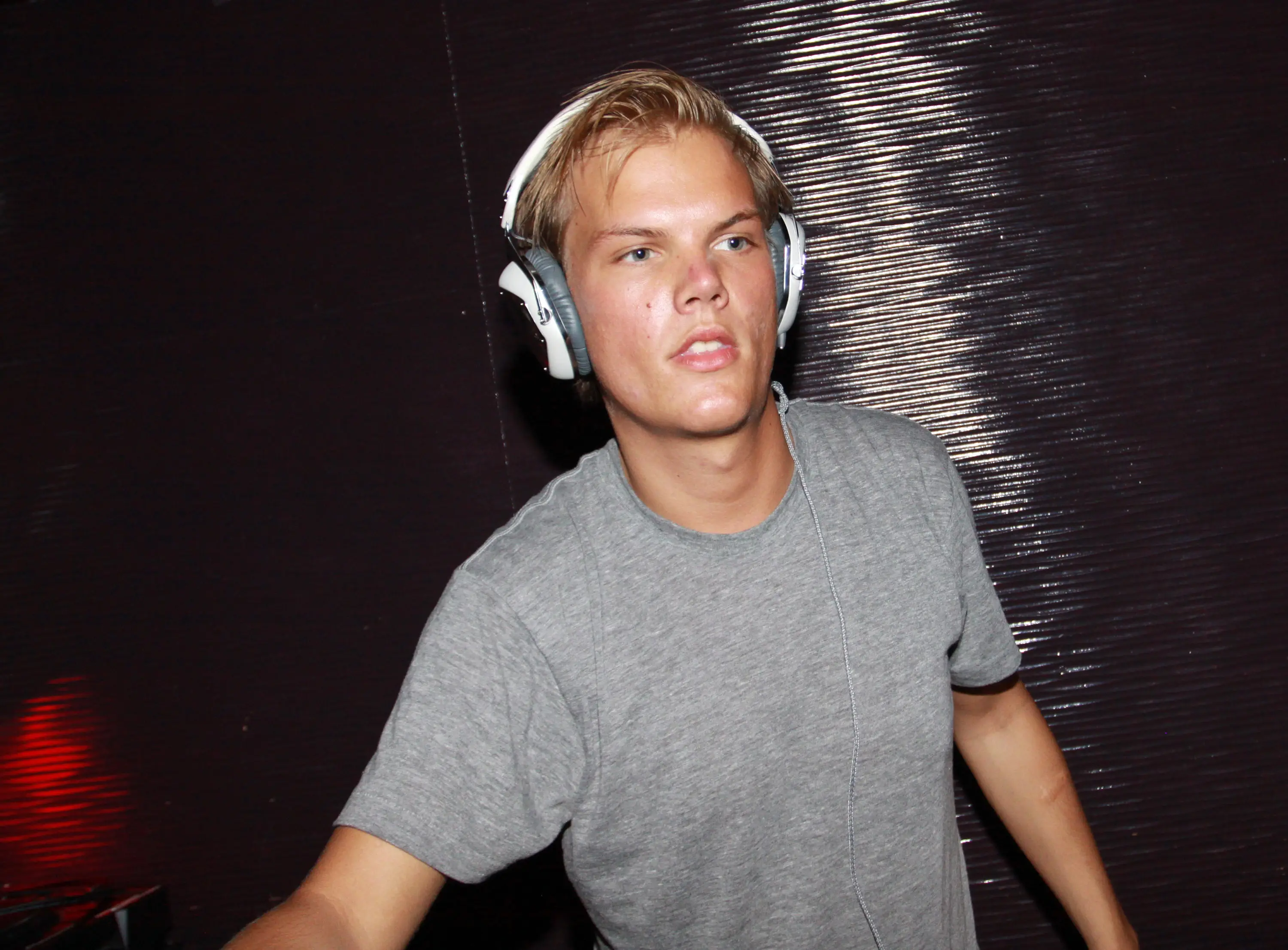 Avicii died in 2018 (Johnny Nunez/WireImage)