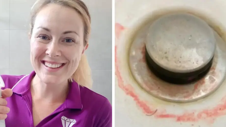 TikTok/@thebigcleanco/@drkaranraj