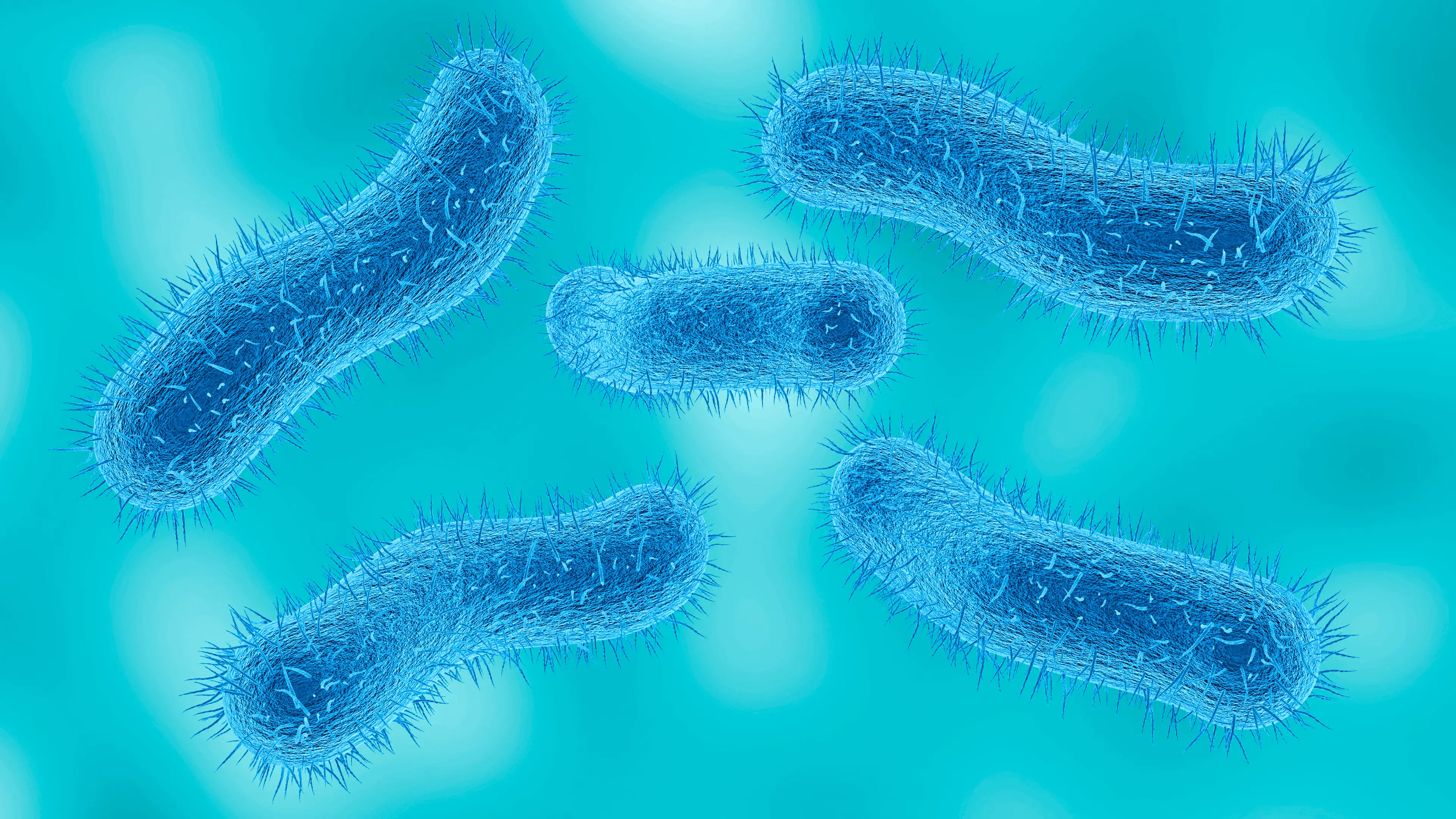PETA has warned that Shigella can be 'life-threatening' to monkeys (Getty Stock Image)