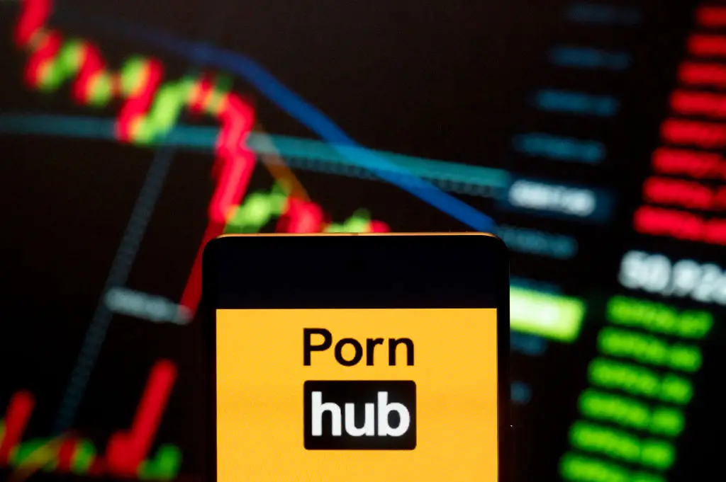 The new age restrictions on porn sites have been dividing opinion (SOPA Images / Getty Images)