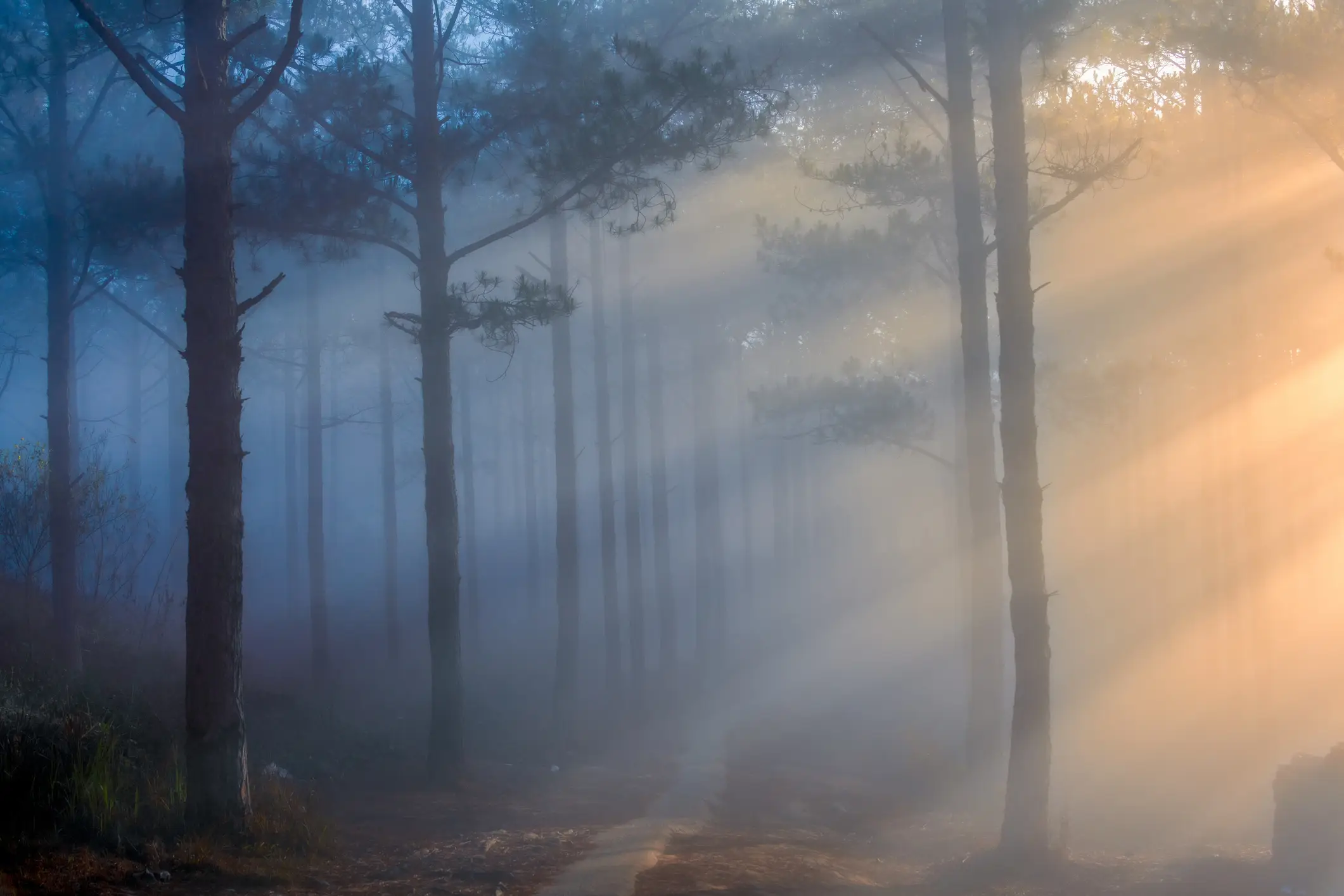 Nebulophilia is a rare sexual arousal to fog, mist, or smoke (Getty Stock Image)