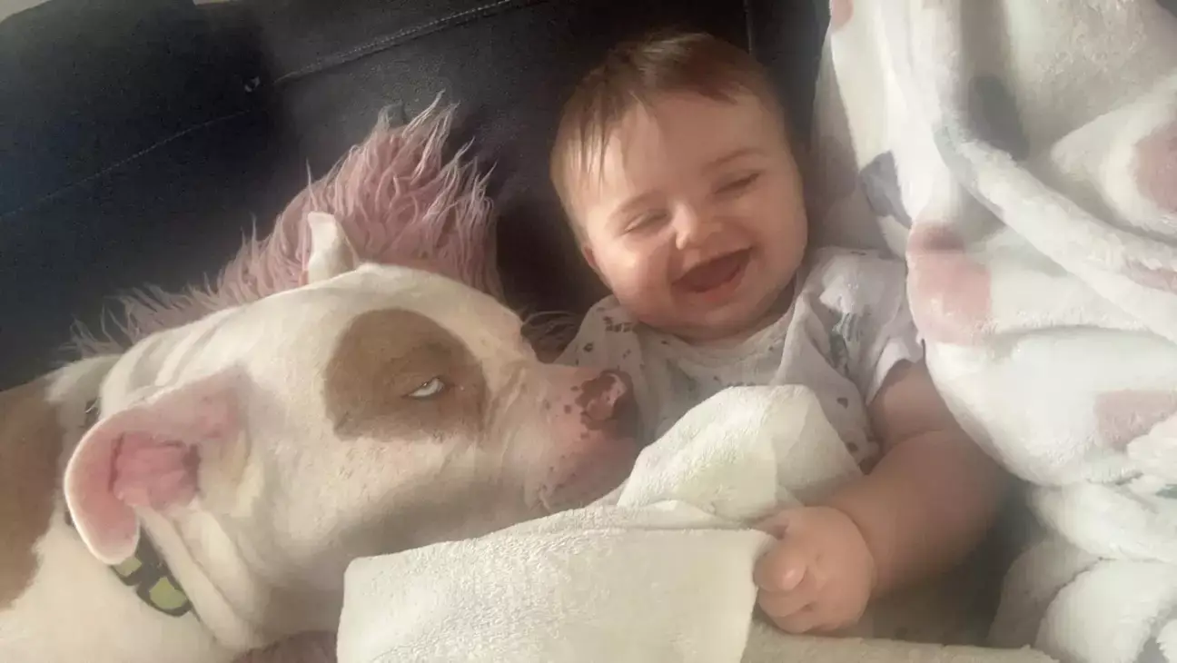 Samantha's 9-month-old tot gets on swimmingly with her XL bully.