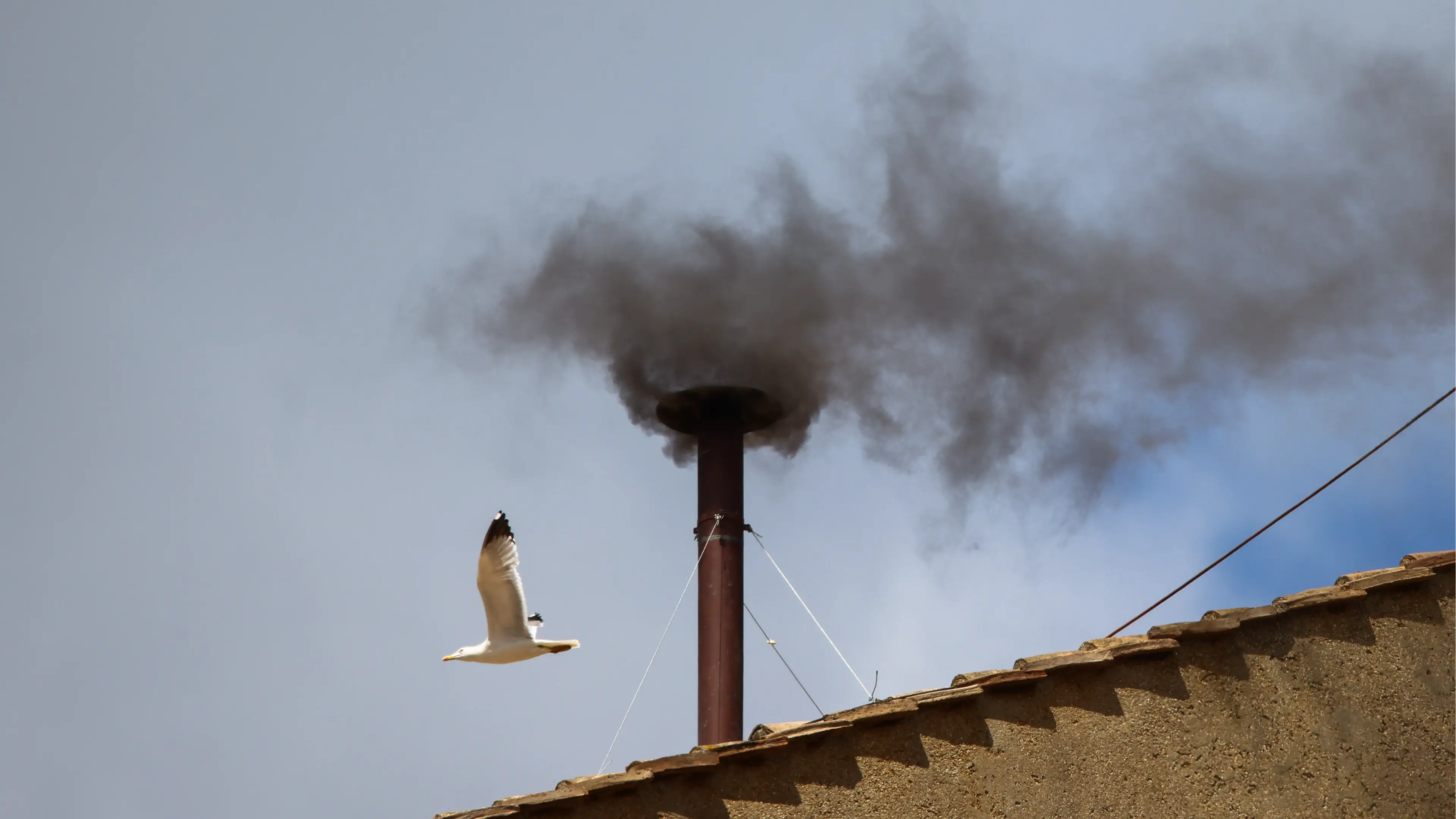 Beata Zawrzel/NurPhoto via Getty Images