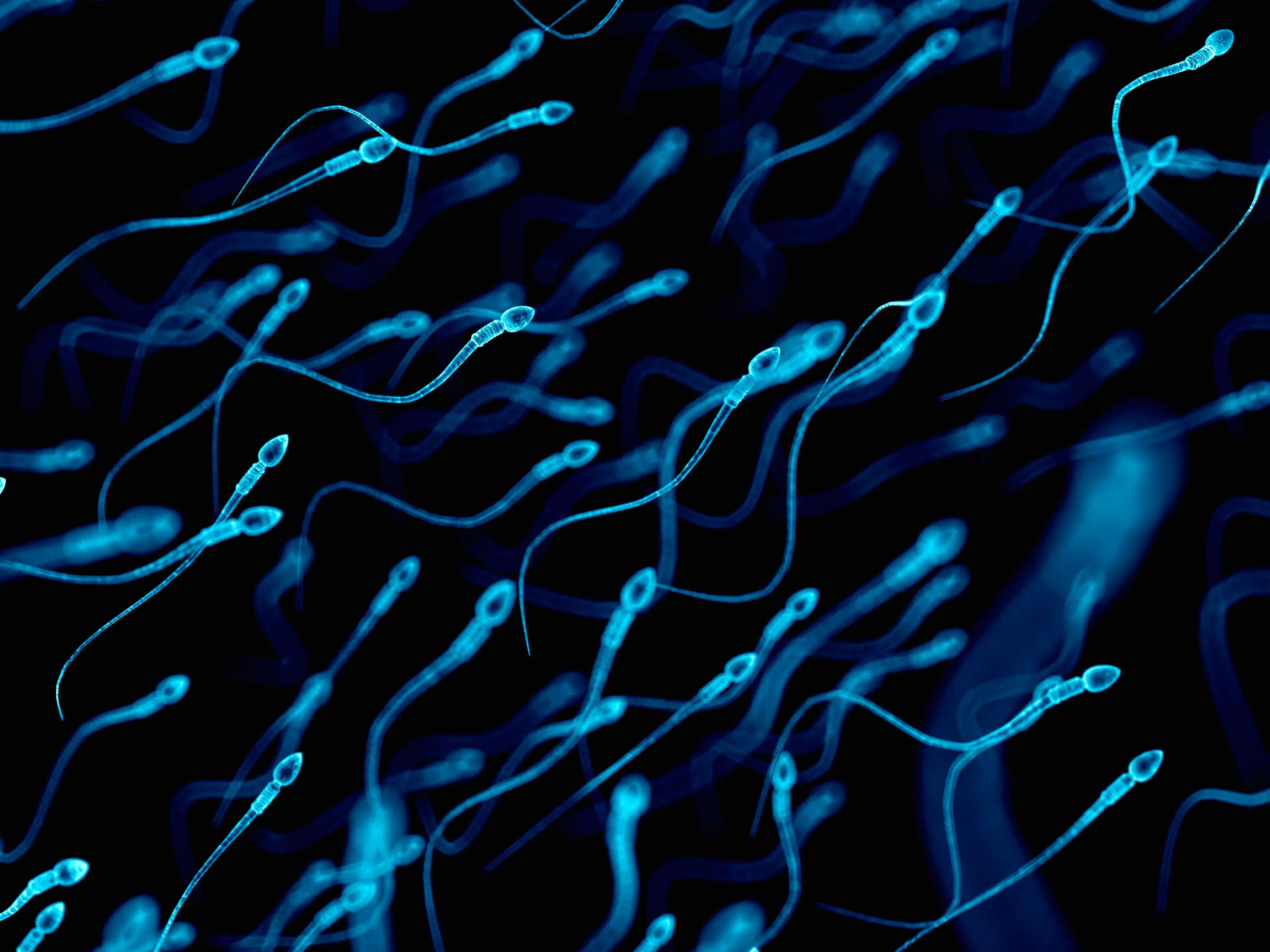 YCT-529 protects male hormones while preventing fertility (Getty Stock Images)