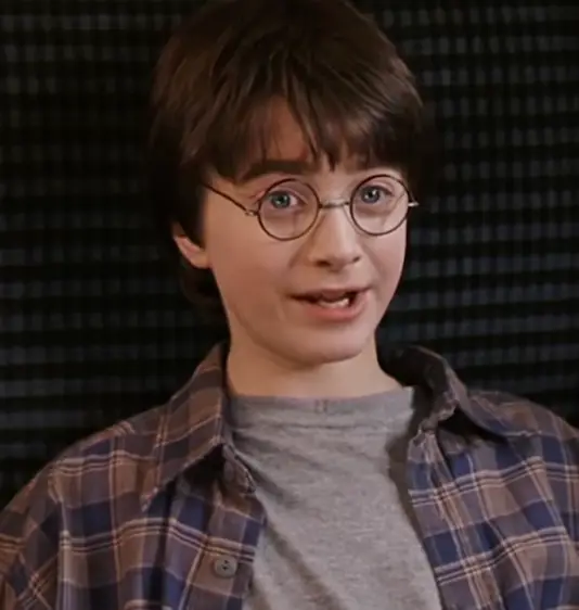 You will never watch this Harry Potter scene in the same way again. (Warner Bros)