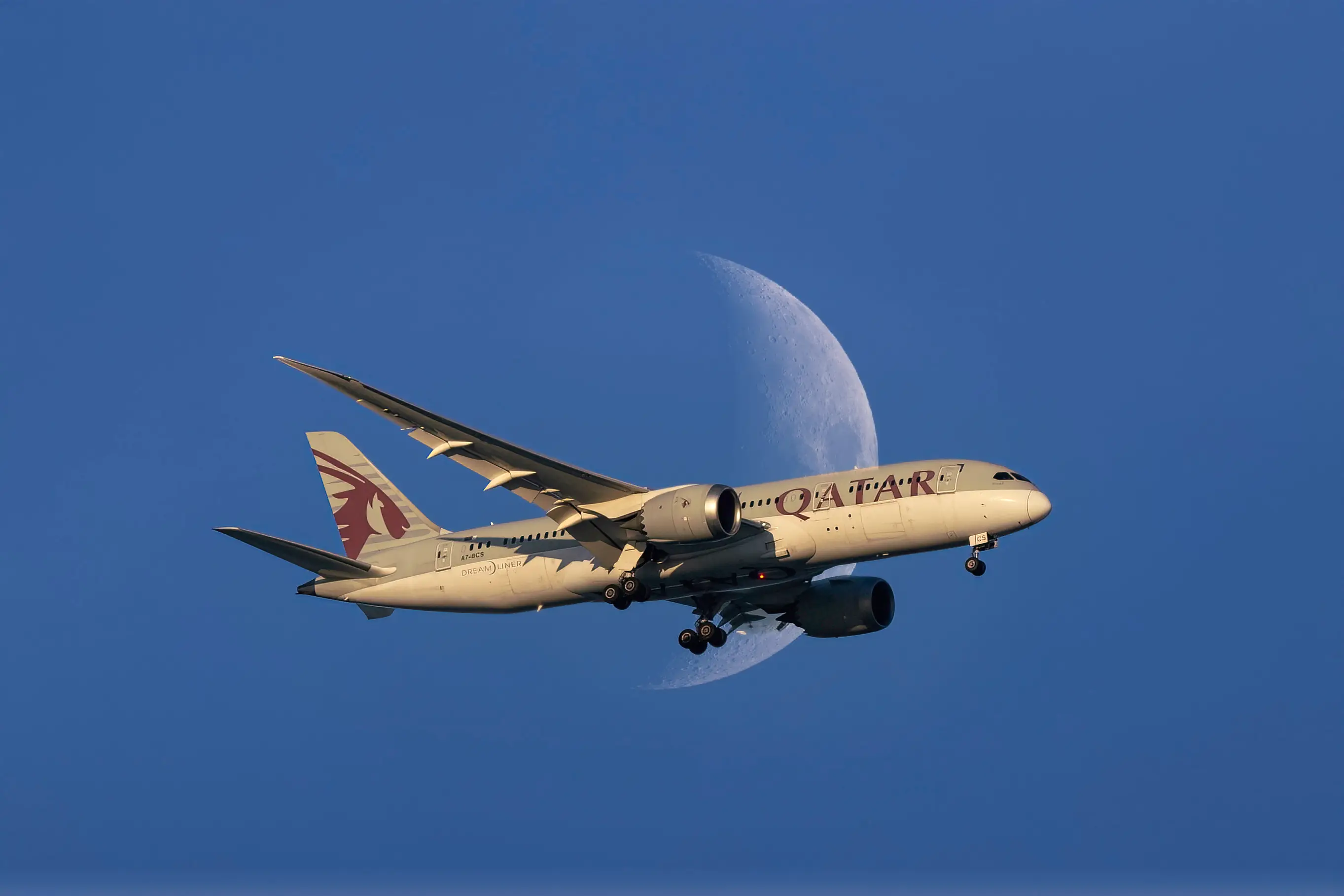 'Strict vegetarian' man Asoka Jayaweera allegedly died after choking to death on a non-vegetarian meal during a Qatar Airways flight in 2023 (hasan zaidi / Getty Images)