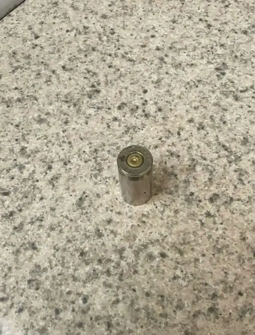 (Facebook/We Rate Dogs)