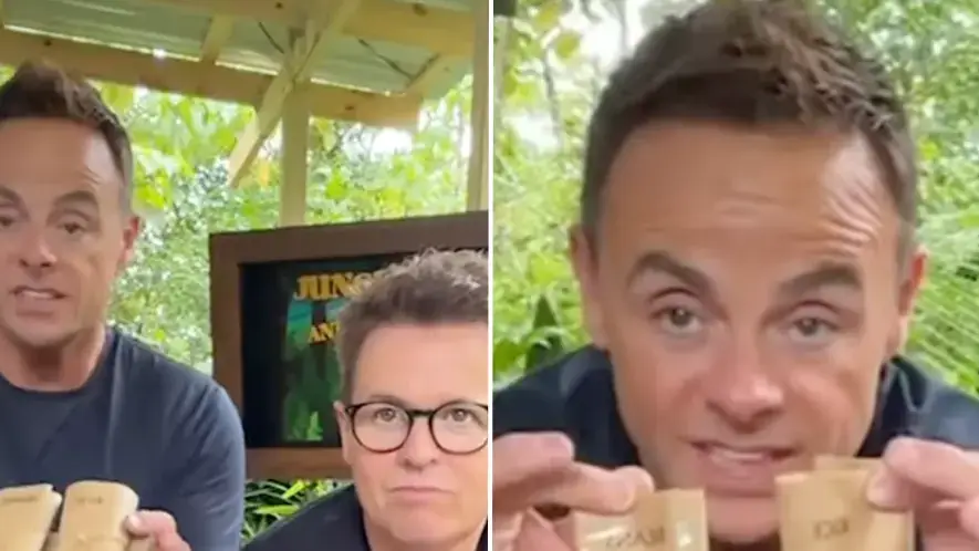 Instagram/@antanddec