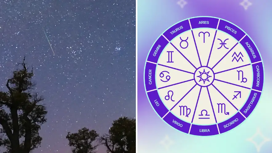 VCG/VCG via Getty Images/Tyla