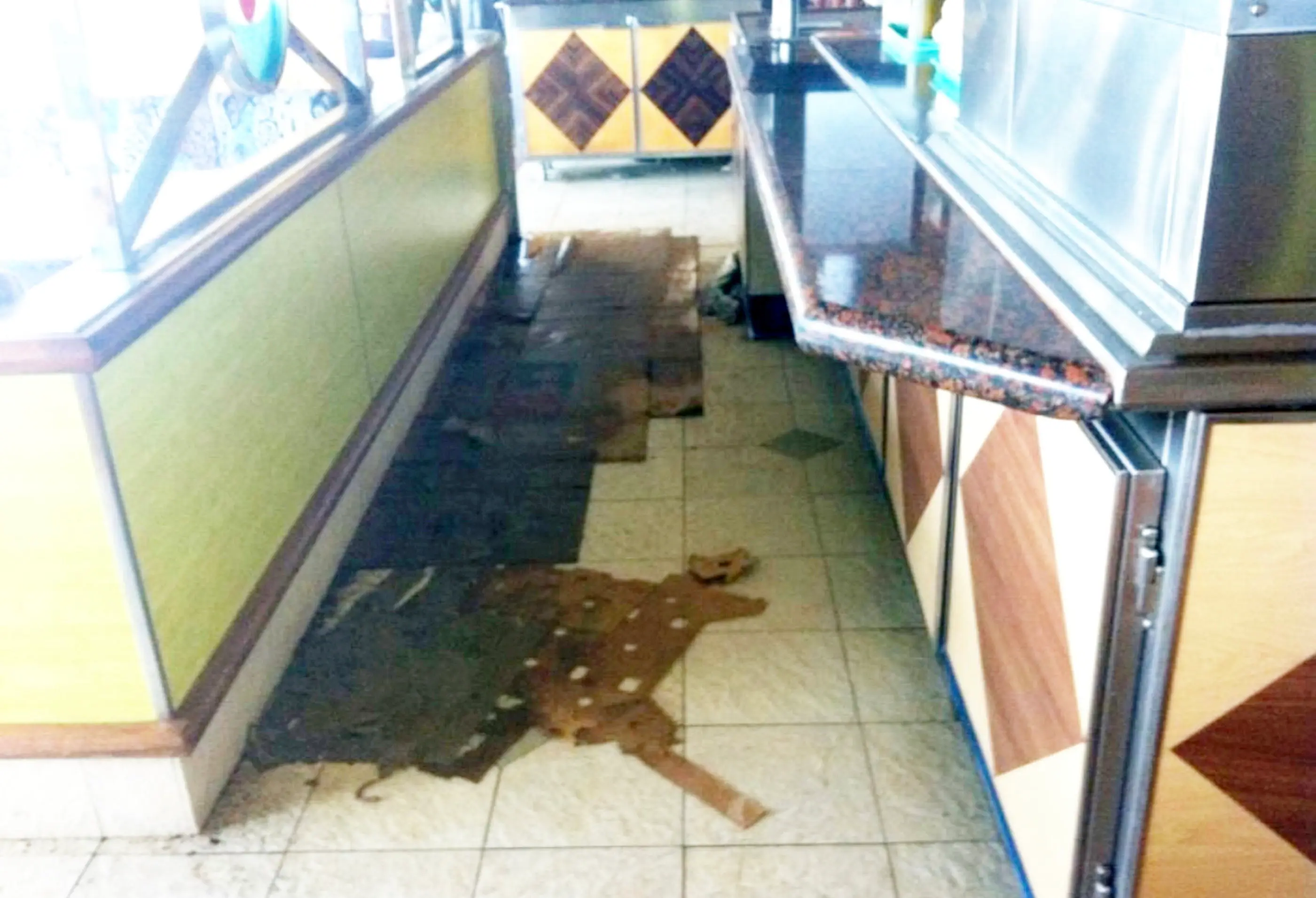 Faeces suddenly began spilling onto the deck (SWNS)