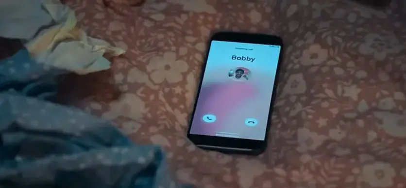 The 'sickening' catfish case has a 'major twist' no one was expecting (Netflix)