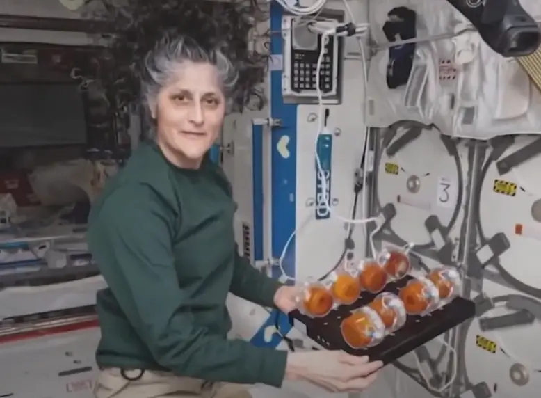 The family of Sunita 'Suni' Williams have opened up about the distance between them (NASA)