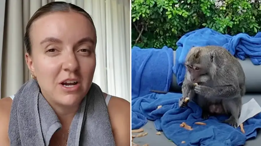 YouTube/@zoeellenrae