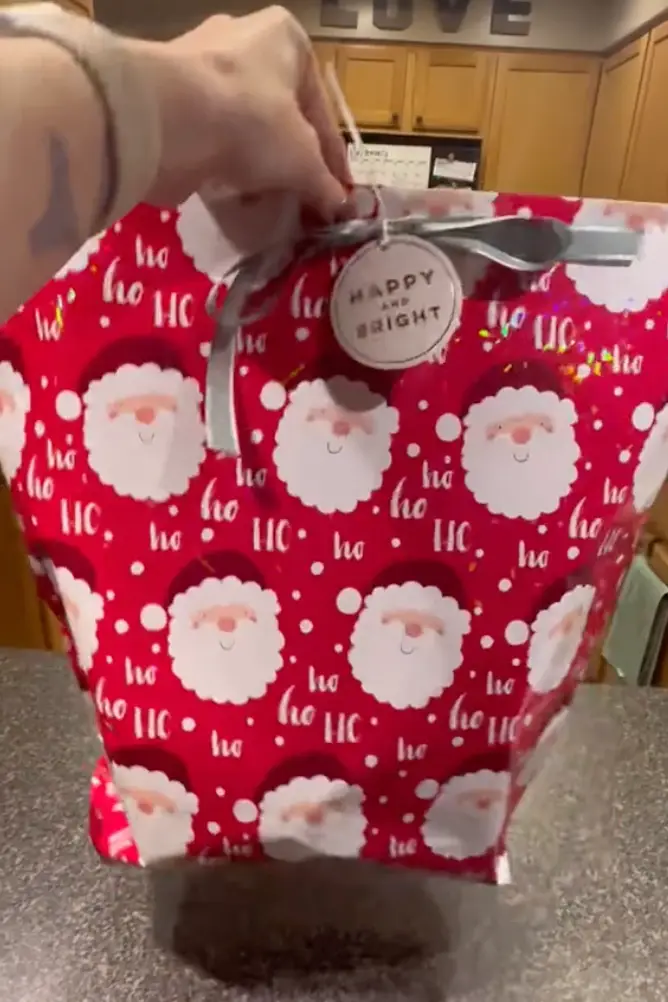 Viewers couldn't get enough of the festive hack.