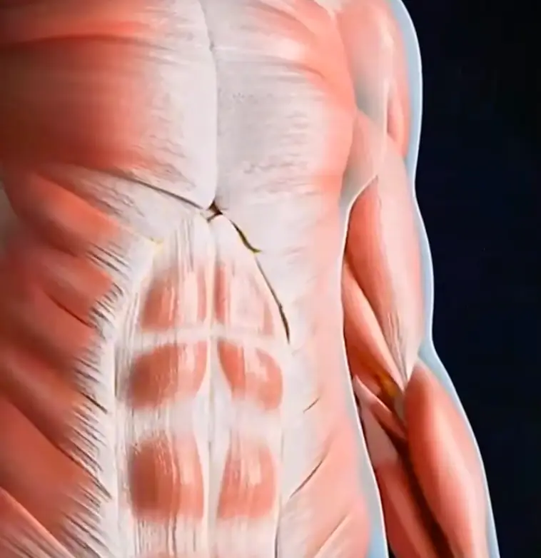 (Youtube/Wellness Wise)