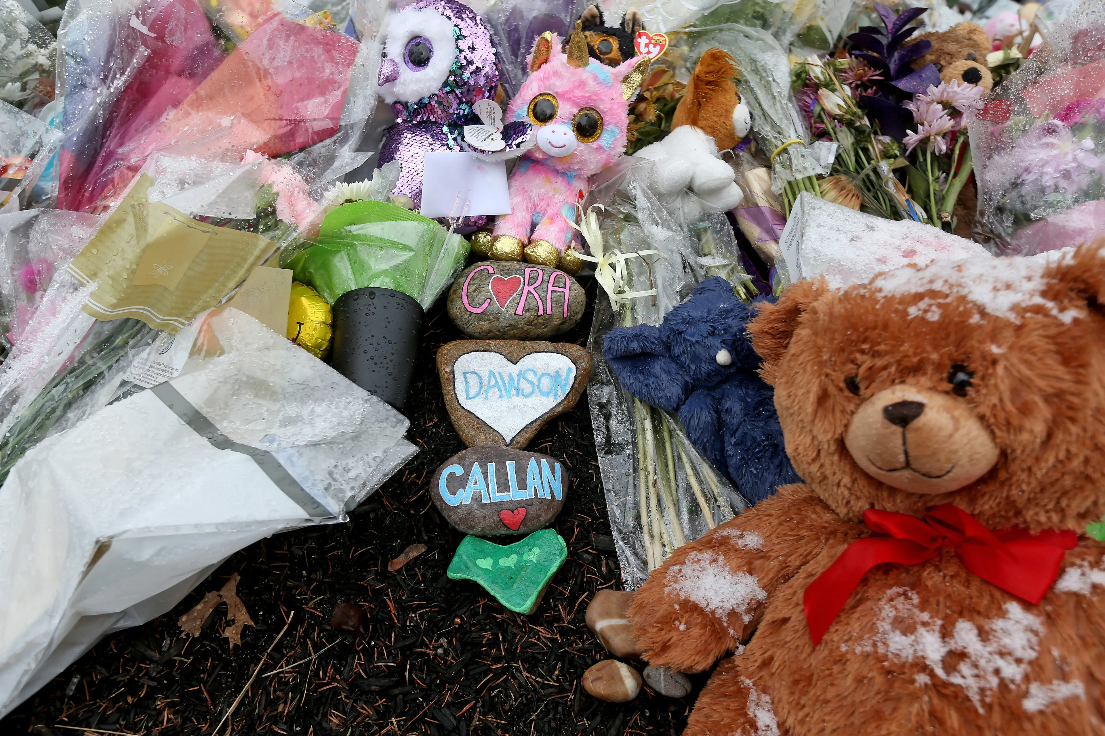 Clancy's team are fighting for her to be committed to a mental health facility (Matt Stone/MediaNews Group/Boston Herald via Getty Images)
