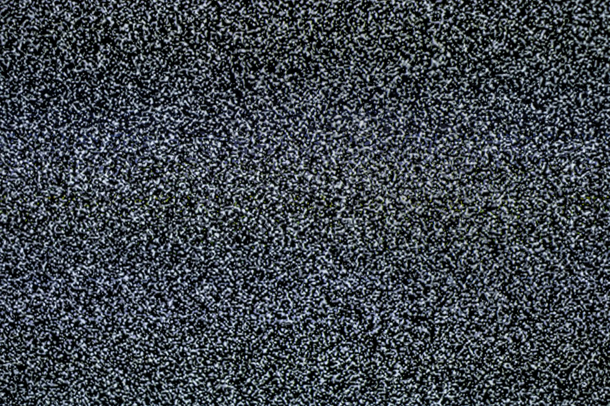 I think we can all agree it feels a bit like this (Jackal Pan/Getty stock photo)