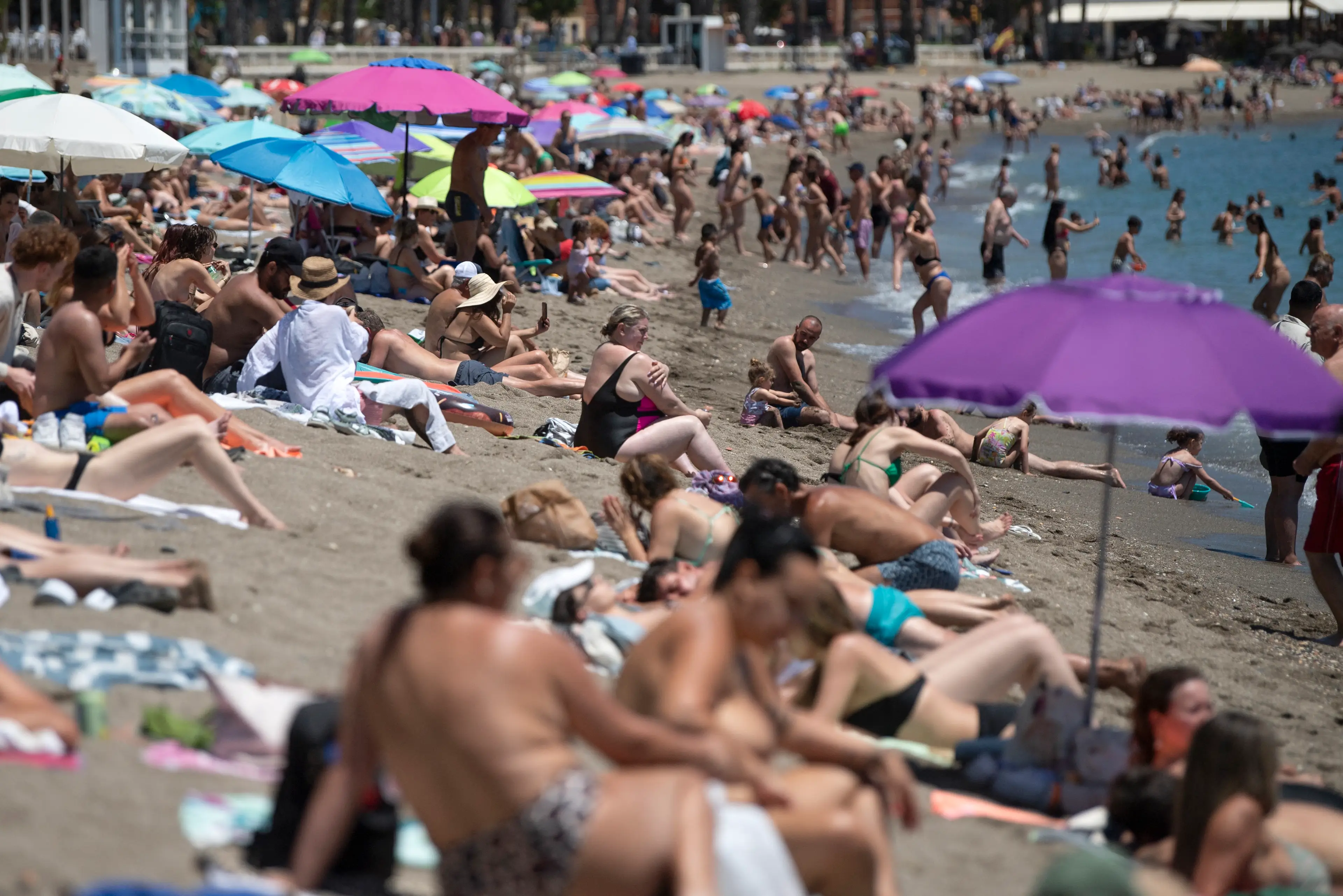 The group are believed to be hiding out in Spain (JORGE GUERRERO/AFP via Getty Images)