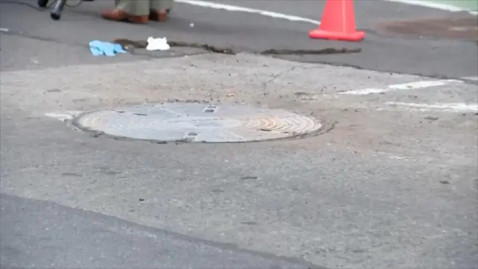 The tragic incident took place on Fifth Avenue on Monday evening (CBS)