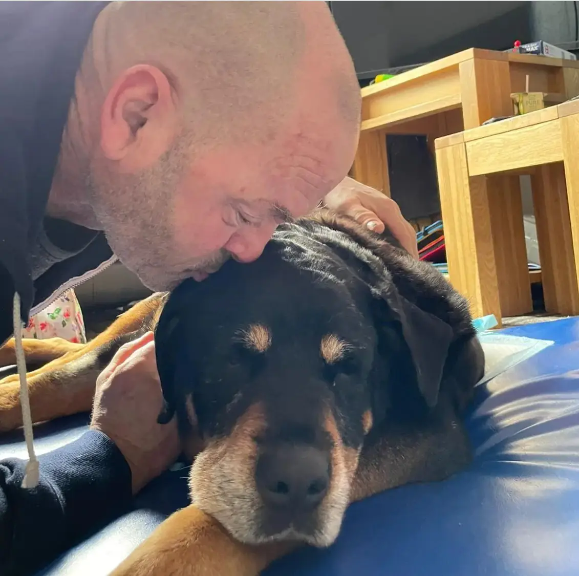 The news of Lucy's passing comes soon after Izzey, another over their Rottweilers, died last year. (