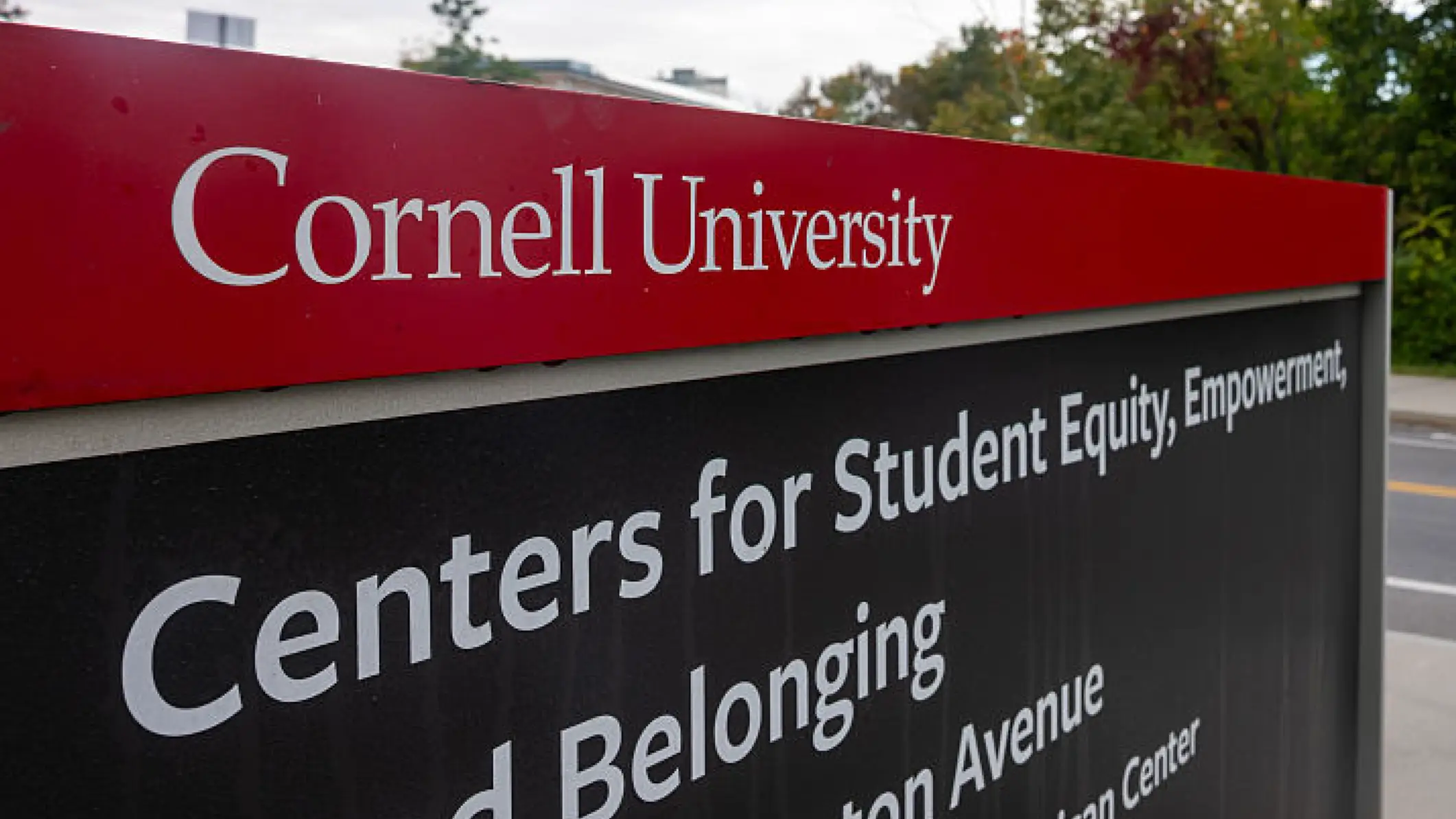 'Stop trying to hunt for Jane Doe in the Cornell case – survivors like me know where this can lead'