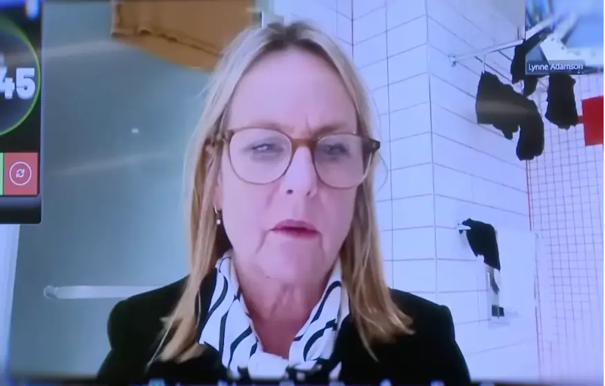 Councillor Jo Galer joined the Zoom call from her bathroom (youtube/@nzheraldtv)