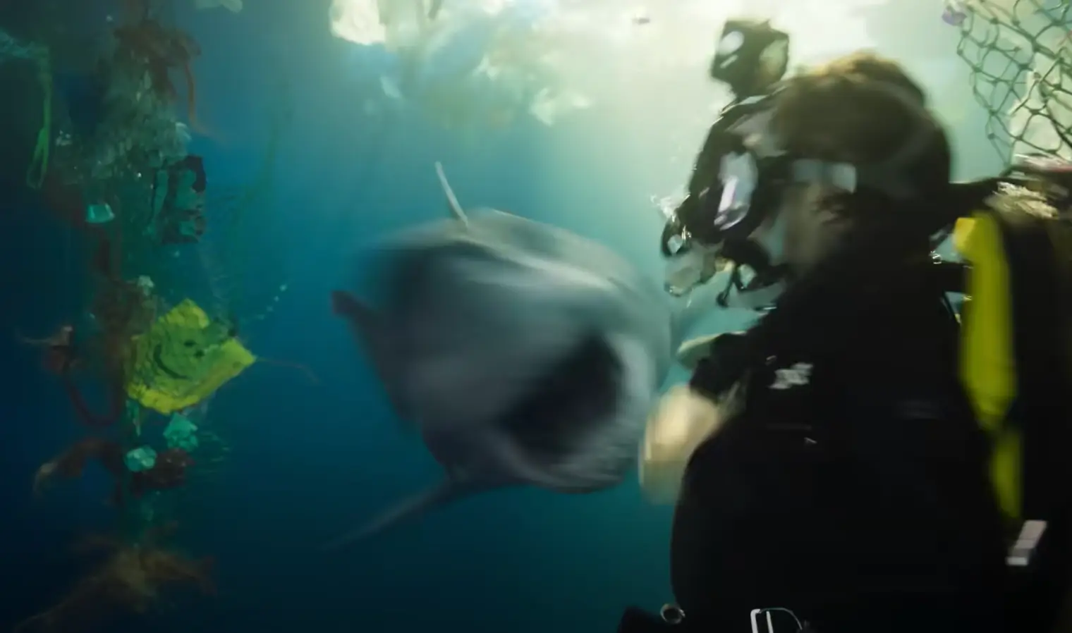 Under Paris shows what would happen if a shark somehow got into the Seine. (Netflix)