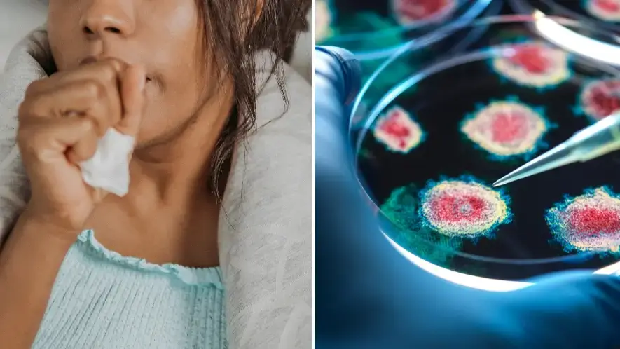 'Quad-demic' warning issued to Brits as cases of winter bugs surge across UK