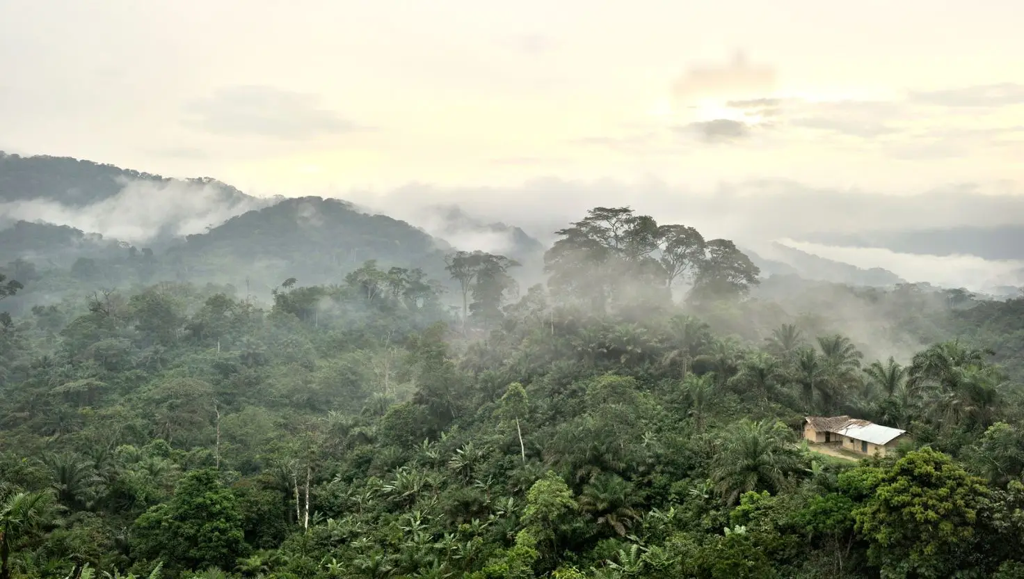A 'complex public health crisis' is currently sweeping the Democratic Republic of Congo (Getty Stock Image)