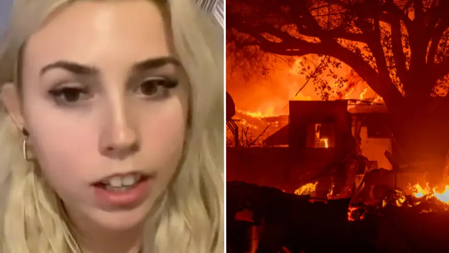 TikTok/@tabithasnavely / David McNew/Getty Images