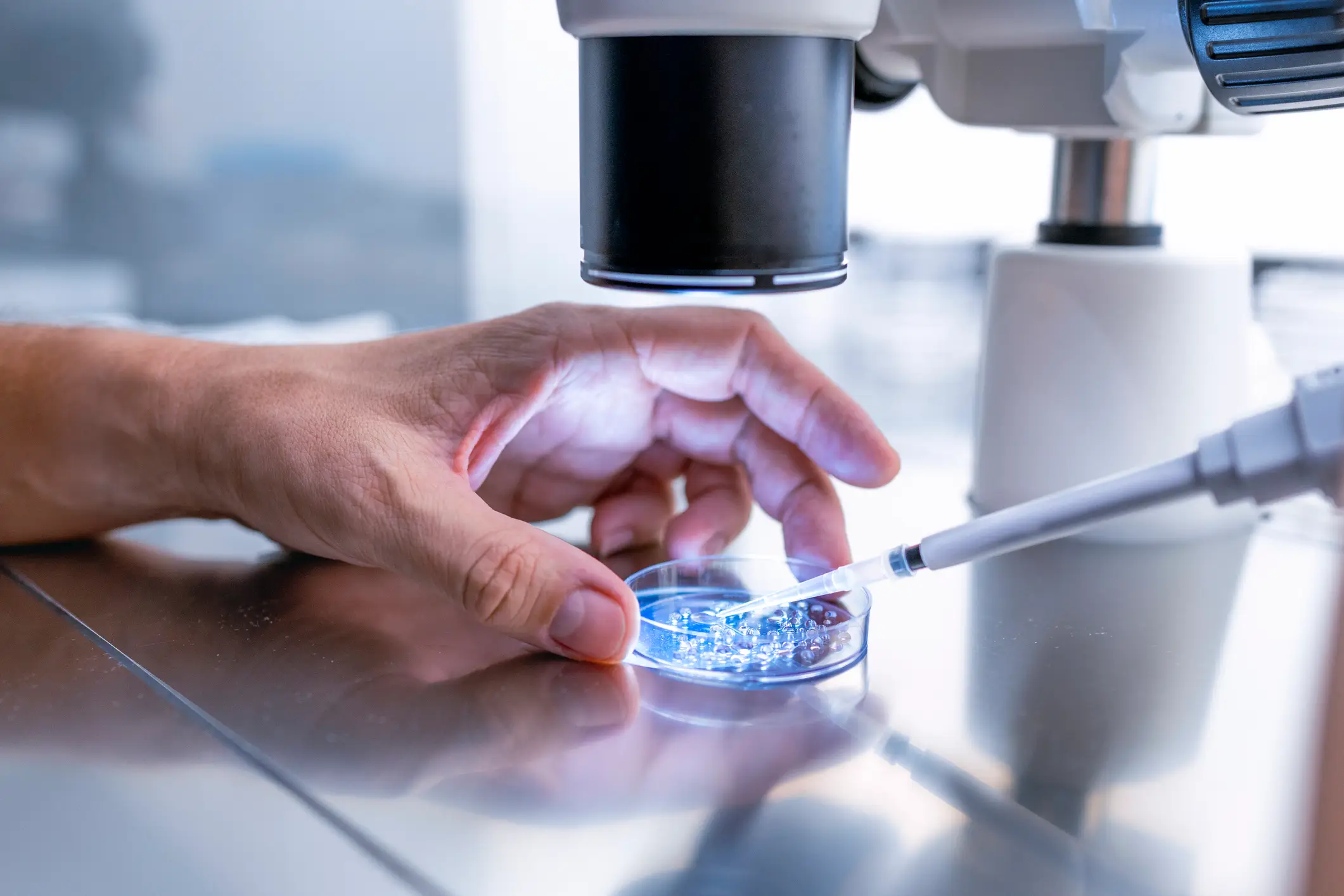 Under current UK rules, sperm or egg donors can withdraw consent up until an embryo is transferred into the womb (Getty Stock Images)