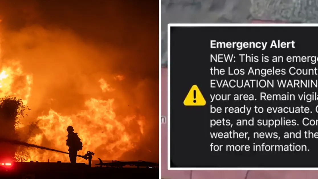 Apu Gomes/Getty Images/Fox