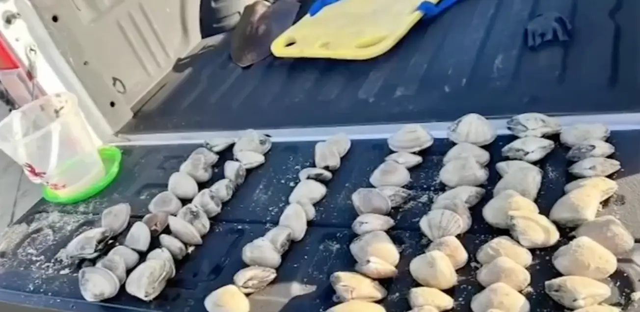 Charlotte thankfully managed to escape with a $500 bill. (ABC7)