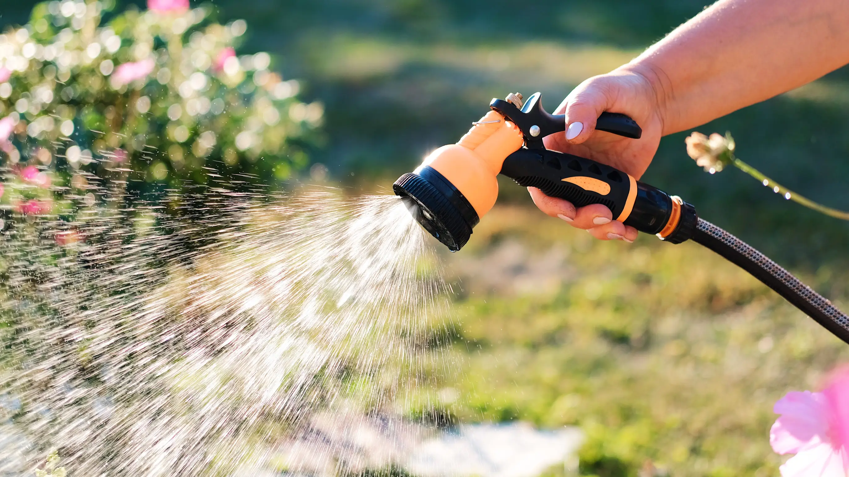 Getty Stock Image