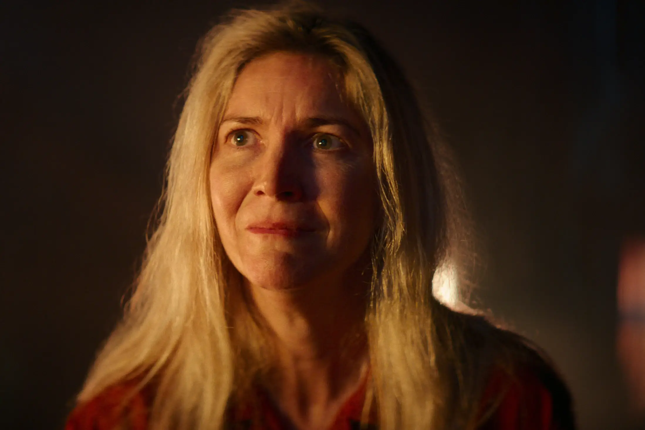 Lisa Faulkner plays the role of Dana Fells (Netflix)