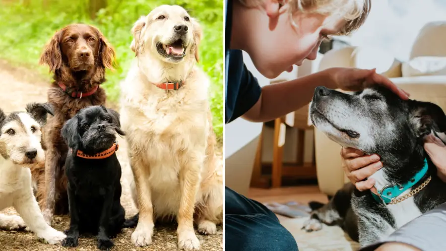 PK-Photos/Catherine Falls Commercial/Getty Images