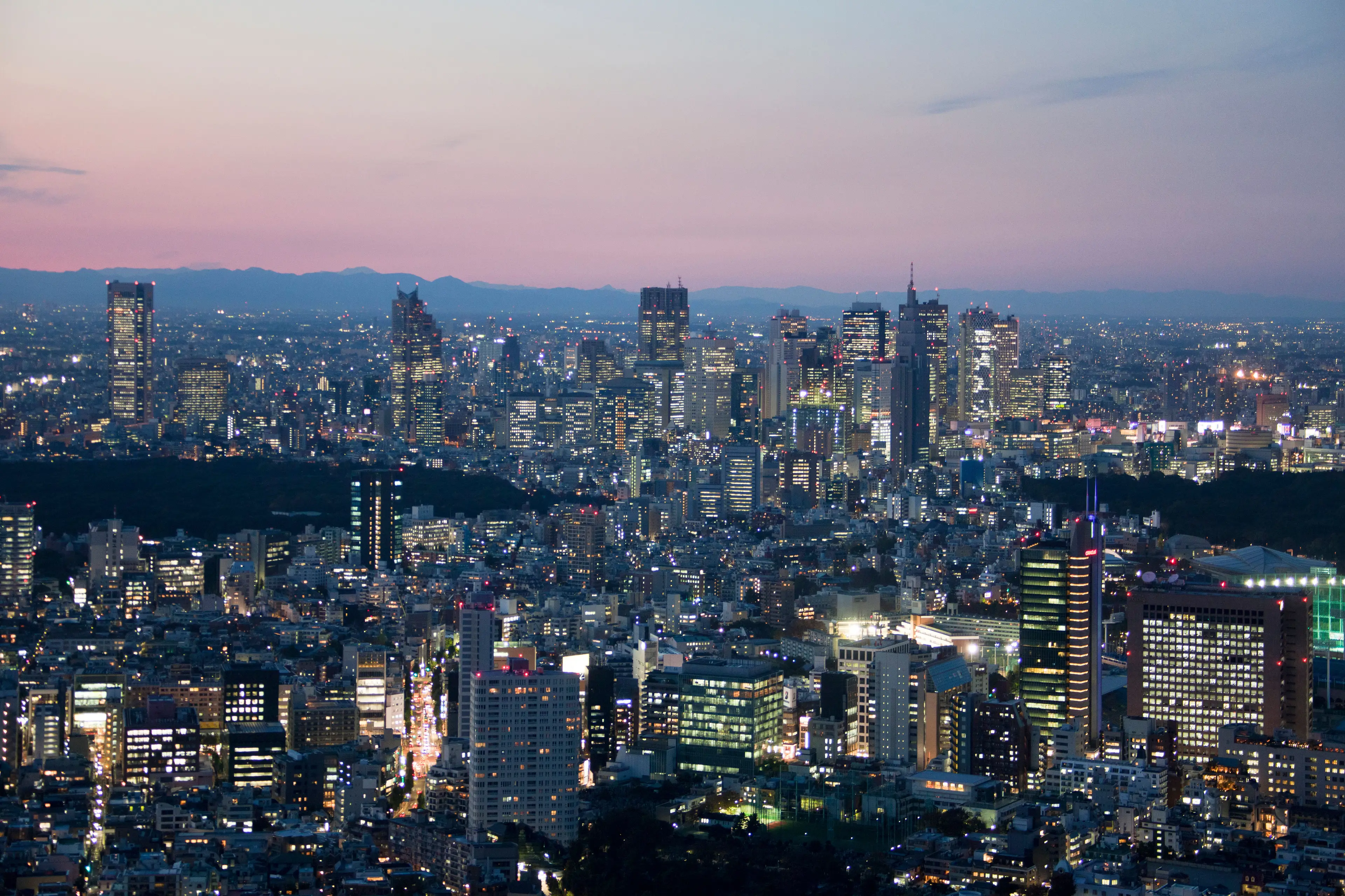 The family are now raising money for potentially life-saving treatment in Japan.