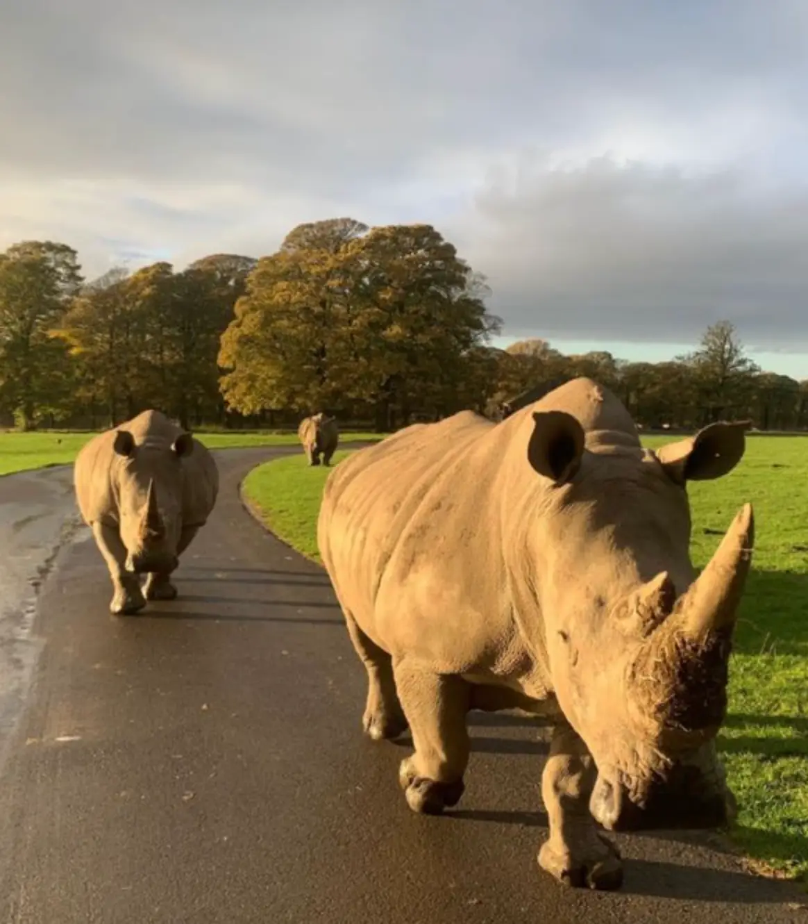 The offer comes just in time for February half-term.