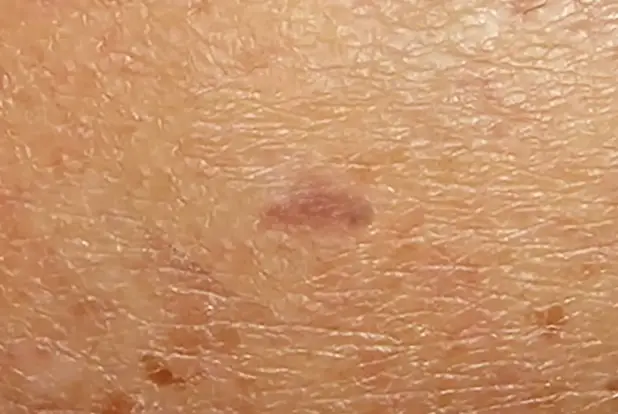 People were shocked by the 'scary' footage. (YouTube/@fauquierent)