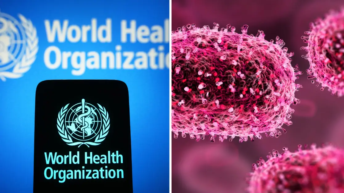 WHO declares global emergency over mpox outbreak as new form of virus spreads