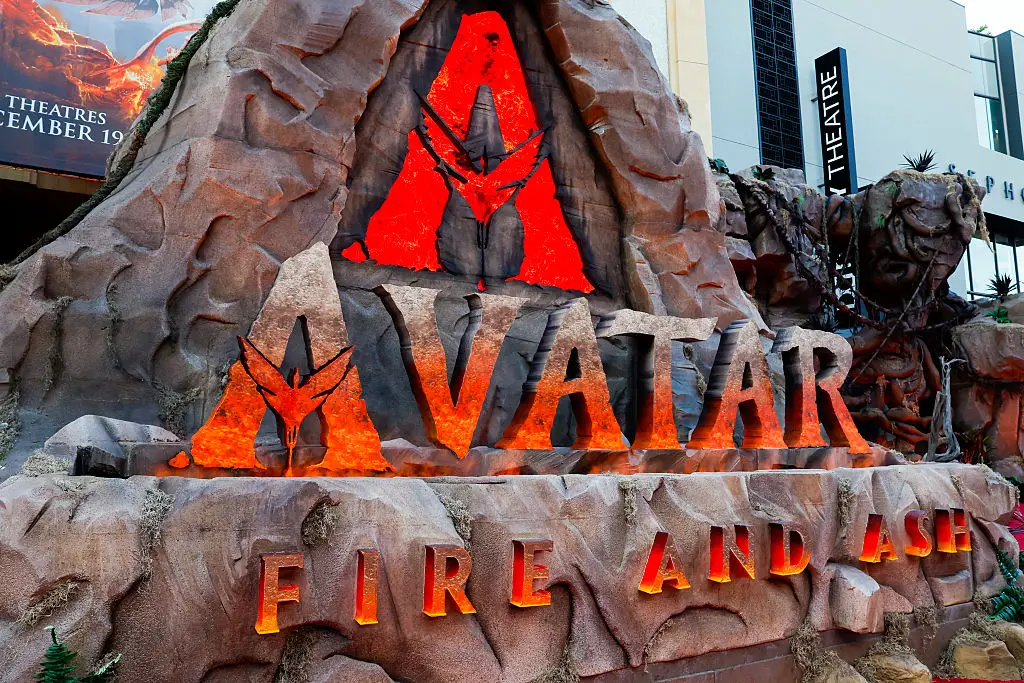 The Oscar nominations have been announced (Leon Bennett/Getty Images)