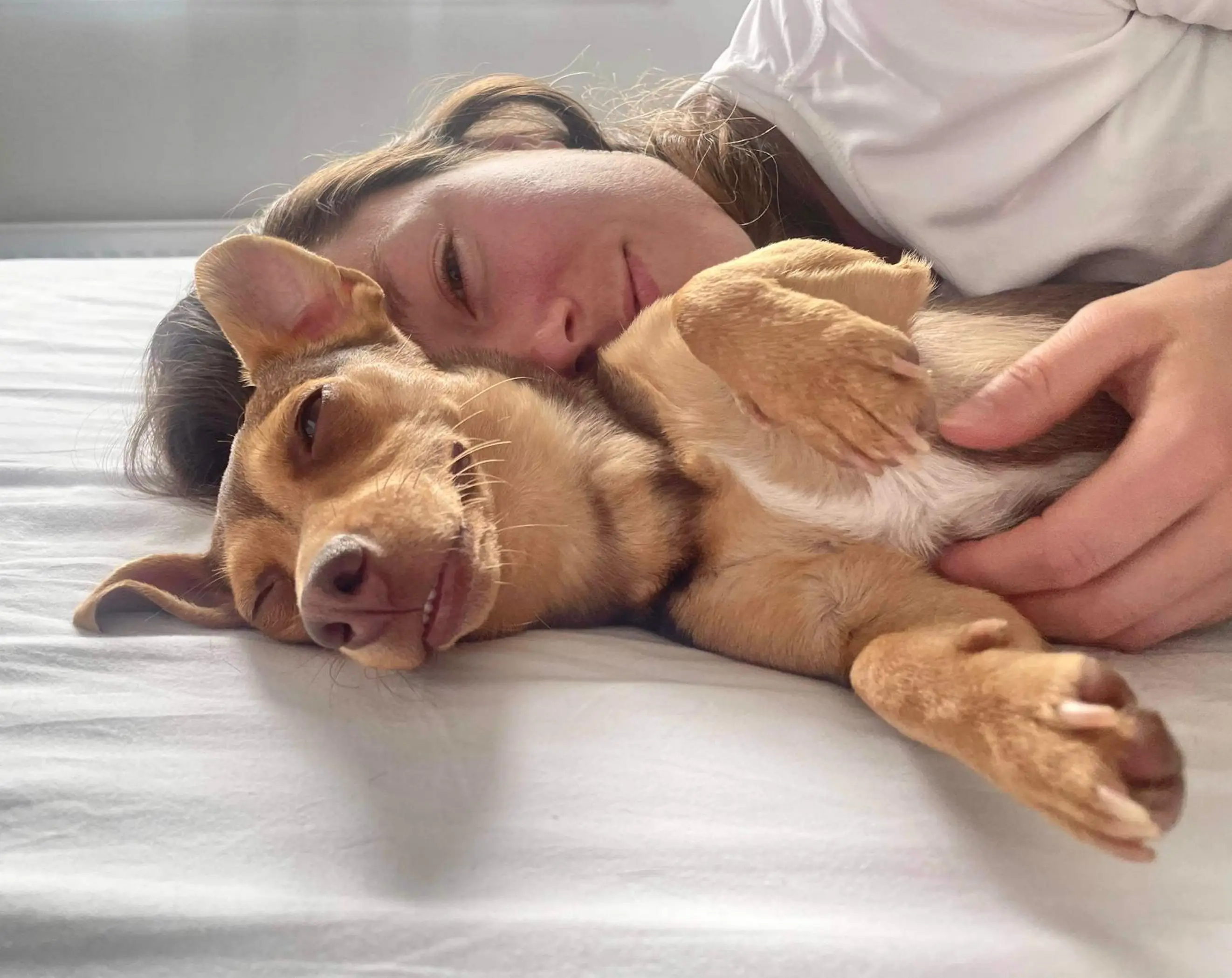 The couple rushed Maple to the vets but sadly she could not be saved.