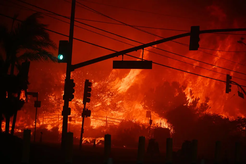 The fires have thousands of homes of civilians and celebrities alike (ROBYN BECK/AFP via Getty Images)