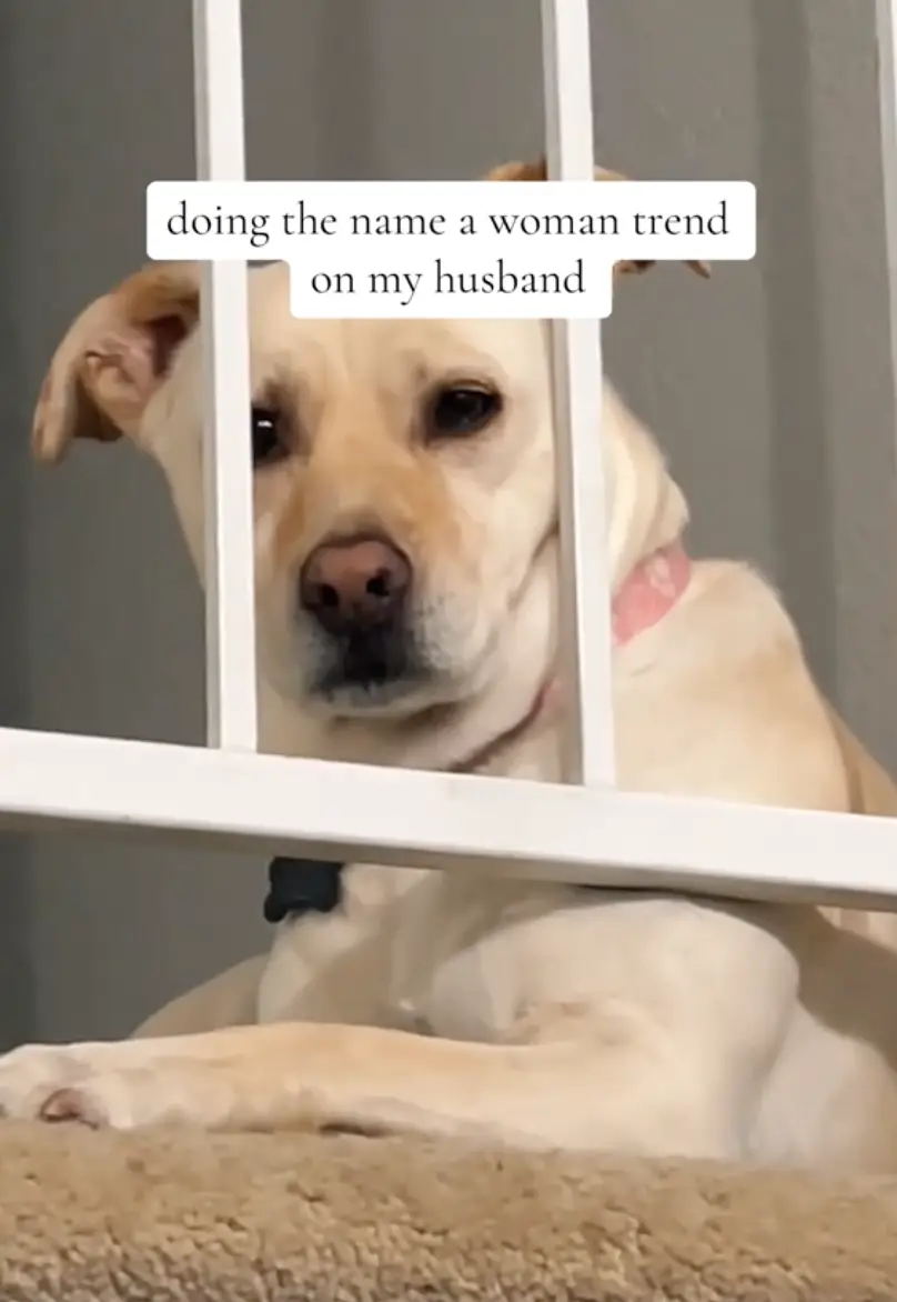 Answers to the viral question have varied wildly, with one man wholesomely saying his dog's name.