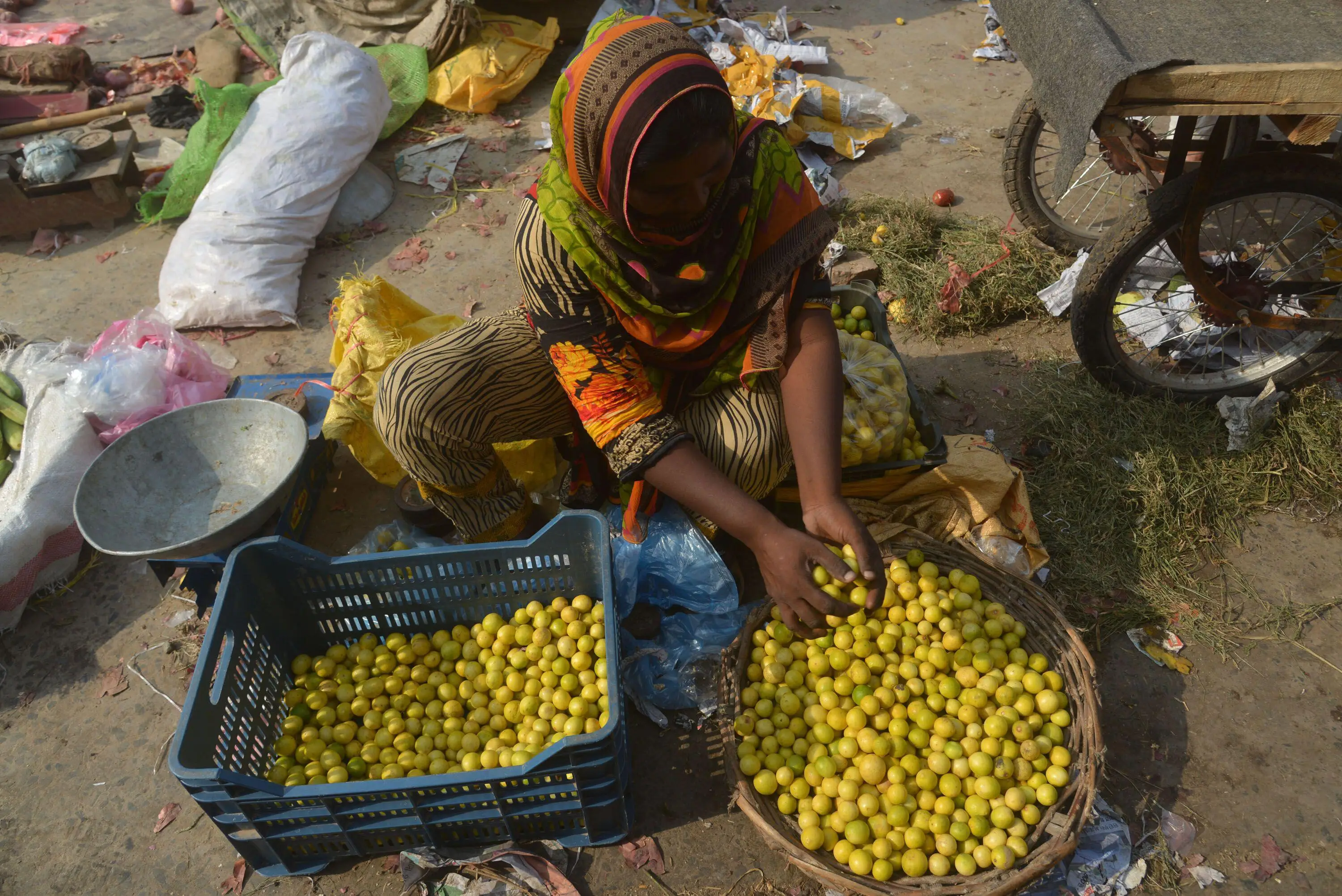 If women had the same access to agriculture as men, world hunger would improve (