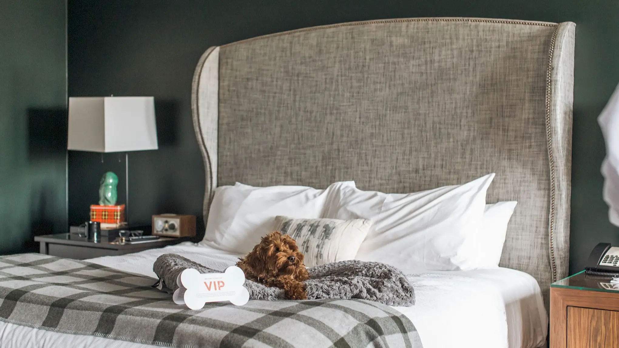 Hotel offers a 'Very Important Pets’ service and it's perfect for furry friends